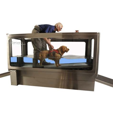 tudor treadmills|underwater treadmill for dogs.